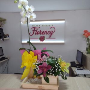 ARREGLO PLANTA PHALAENOPSIS FPL-029