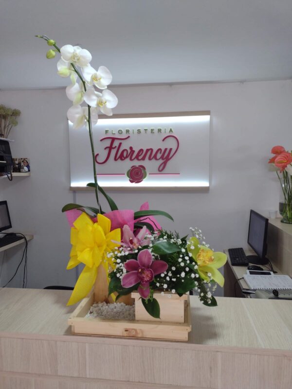 ARREGLO PLANTA PHALAENOPSIS FPL-029