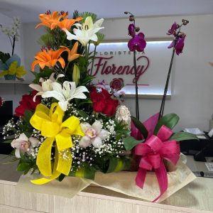 RECOMENDADOS DEL MES REC-023