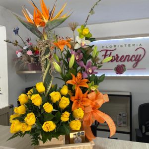 RECOMENDADOS DEL MES REC-019